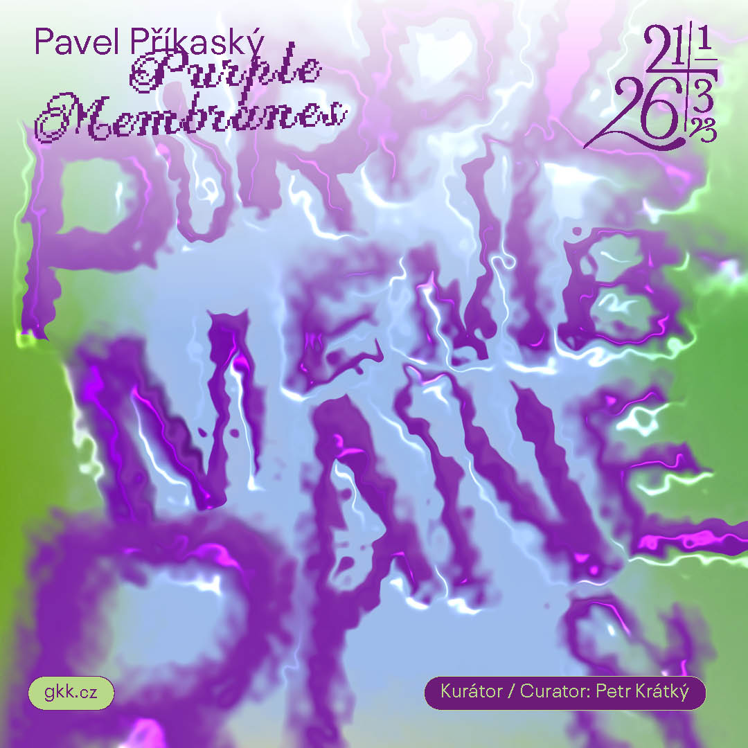 Pavel Příkaský / Purpurové membrány 